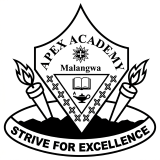 Apex Academy Logo